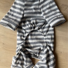 わんちゃん洋服２枚、口輪の画像