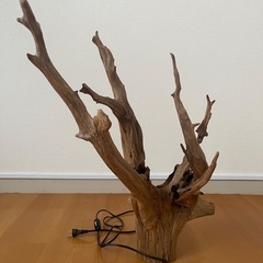 オシャレな流木ランプ＊オマケ付きの画像