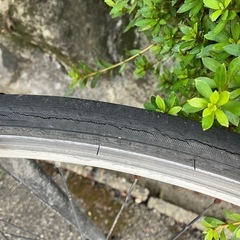 自転車店から出品/ クロスバイク/700-23c/メインフレーム•アルミ合金/ELVIENTO/防犯登録ok の画像