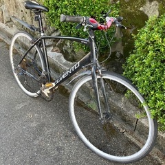 自転車店から出品/ クロスバイク/700-23c/メインフレーム•アルミ合金/ELVIENTO/防犯登録ok の画像