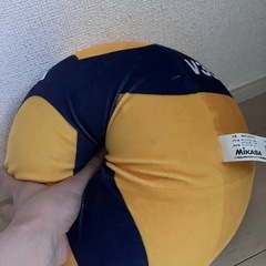 バレーボール クッションの画像