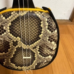 三線の画像