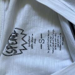 9月末まで処分セール　Tシャツ　2枚セット　イタリア　S とXLの画像