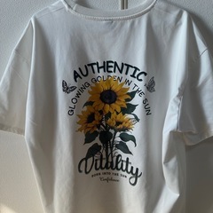 Tシャツ
の画像