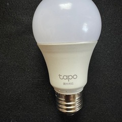 共同照明 フロアランプ TP-Link LED電球セット　取説なしの画像