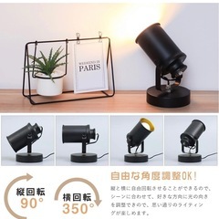 共同照明 フロアランプ TP-Link LED電球セット　取説なしの画像