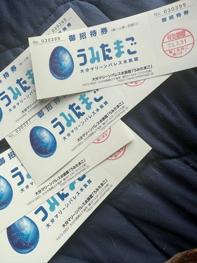 うみたまごチケット✖️5枚