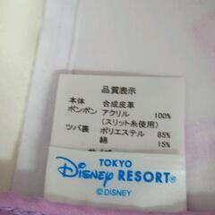 0821-266 ディズニー　ポンポンキャップ　シルバー/オーロラ/パープルの画像