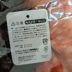 鯛の画像
