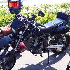 Kawasaki Dトラッカー250 2003年式 前期型 キャブ車の画像