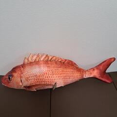 鯛の画像