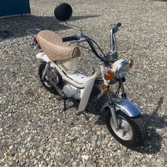 ヤマハ　50cc  チャピィ チャッピー LB-50Ⅱ走行確認済み　アイドリング安定　走行距離642km 3速MT 旧車　
の画像
