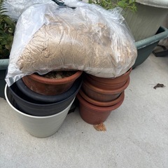 植物、鉢、肥料の画像