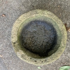 つくばい 手水鉢 水鉢 石鉢の画像