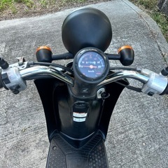 トゥデイaf61の画像