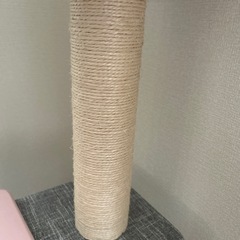 キャットタワーの画像