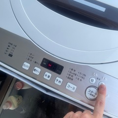 SHARP 洗濯機の画像
