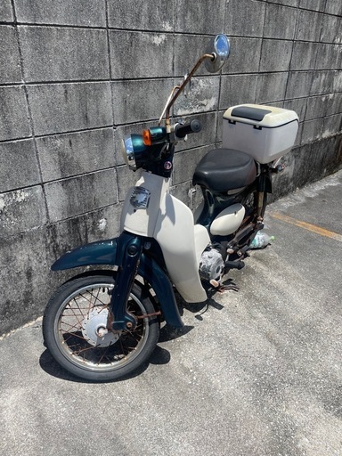 リトルカブ aa01