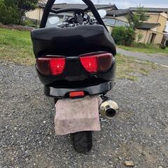 フォルツァの画像