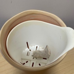 陶器鉢 植木鉢 オシャレ鉢 鉢カバー ハイドロ 薄オレンジの画像