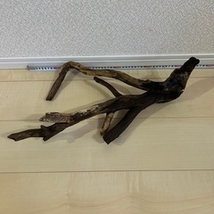 流木の画像