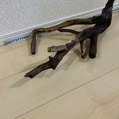 流木の画像