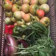 「取引中」お野菜