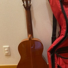 PEPE P-55M ギター　値段交渉可  の画像