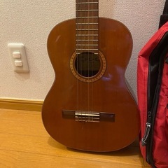 PEPE P-55M ギター　値段交渉可  の画像