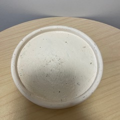 陶器鉢 植木鉢 オシャレ鉢 編み目柄の画像