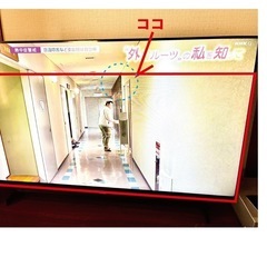23日終了後します！MAXZEN（マクスゼン）4K対応 液晶50インチTV の画像
