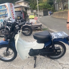 バーディー50FIセル付き【384】の画像