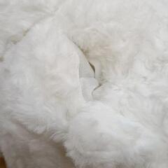 0821-216 ぬいぐるみの画像