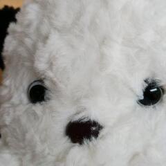 0821-216 ぬいぐるみの画像