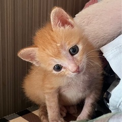 パパ、ママがお迎えに来てくれました。