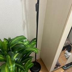 オシャレなライトの画像