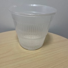 プラスチック鉢 スリット鉢 半透明の画像