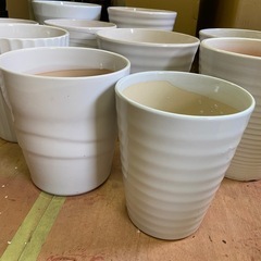 【白い陶器鉢カバー11点セット／観葉植物用・中古】の画像