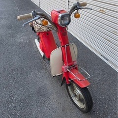 パッソルの画像