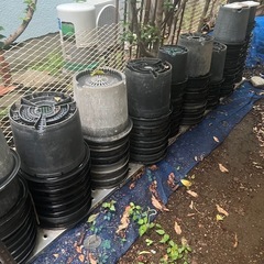 植木鉢
の画像