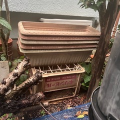 植木鉢
の画像