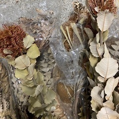 【ドライフラワーまとめ売りセット/バンクシア】の画像