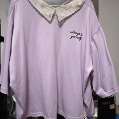 レース付き襟 ラベンダー Tシャツ 5Lの画像