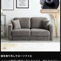 [現地決済可]Ally 2人掛けベロアソファの画像