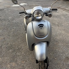 ホンダ、ジョルノの画像