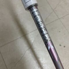 ヨネックス Royal EZONE ユーティリティ 2019 (P2010akxYM)の画像