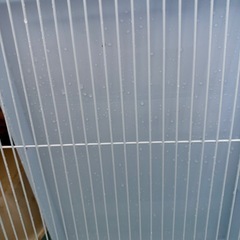 鳥かご
の画像