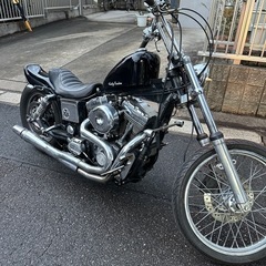 ハーレー
の画像