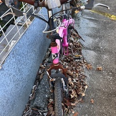 南国風デザイン
折りたたみ自転車の画像