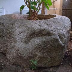 石の大きな水鉢／睡蓮鉢／植木鉢　つくばい　高額商品　の画像